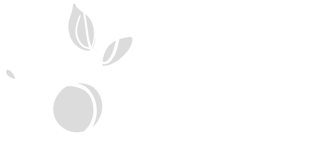 Lifafaz Kids Photography Logo