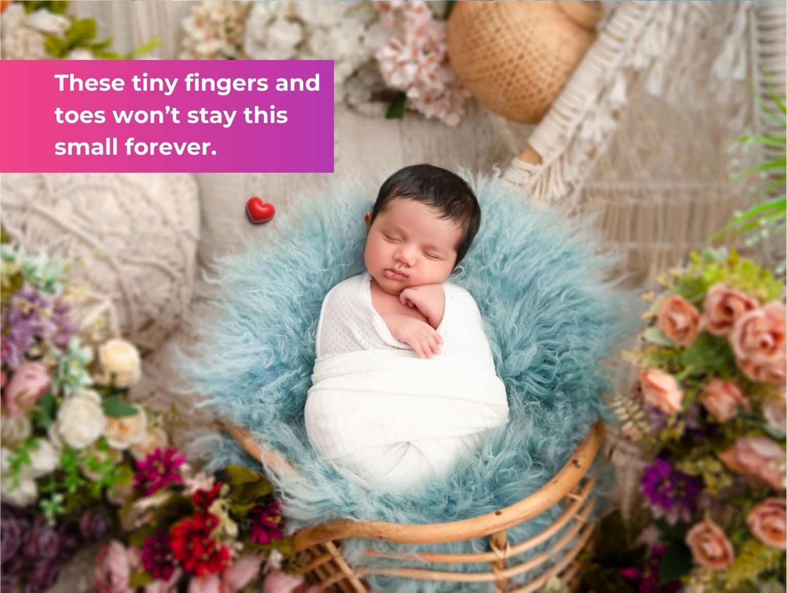 Hero images Homepage Lifafaz Kids Baby Shoot Maternity Shoot Newborn SHoot Family photoshoot